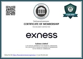 Exploring the Features and Benefits of the Exness Web Platform