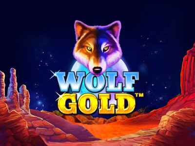 wolf gold demo 모든 것을 경험해보세요! wolf gold demo 모든 것을 경험해보세요!