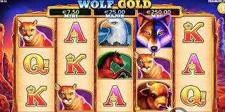 wolf gold demo 모든 것을 경험해보세요! wolf gold demo 모든 것을 경험해보세요!