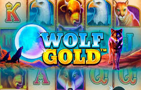 wolf gold free spins 최고의 슬롯 게임 경험